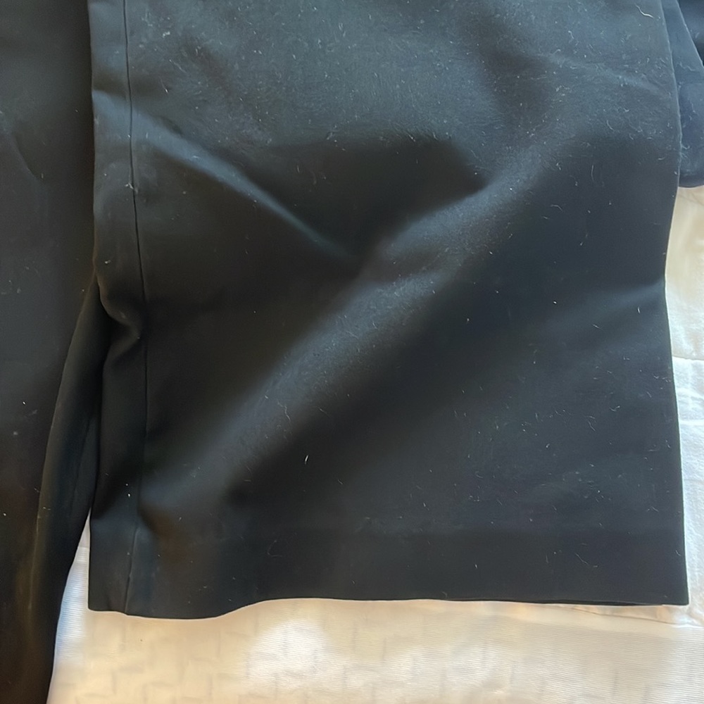 Express Editor Pants Size 10 Regular - image 2